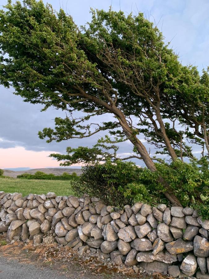 Burren Court Lodge Ballyvaughan Exteriör bild