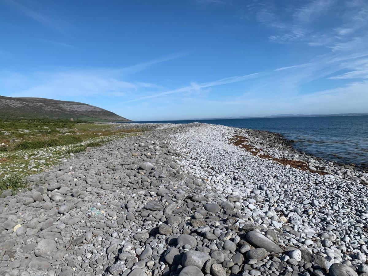 Burren Court Lodge Ballyvaughan Exteriör bild