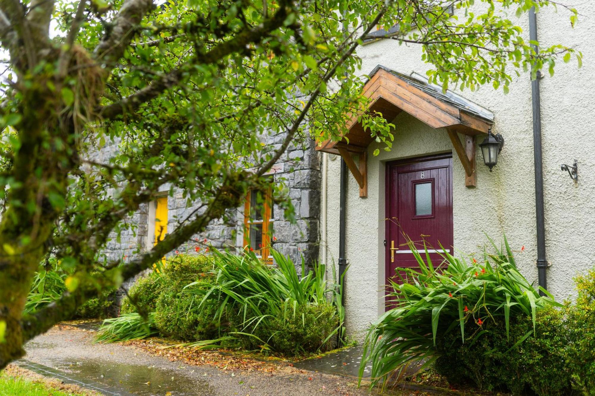 Burren Court Lodge Ballyvaughan Exteriör bild